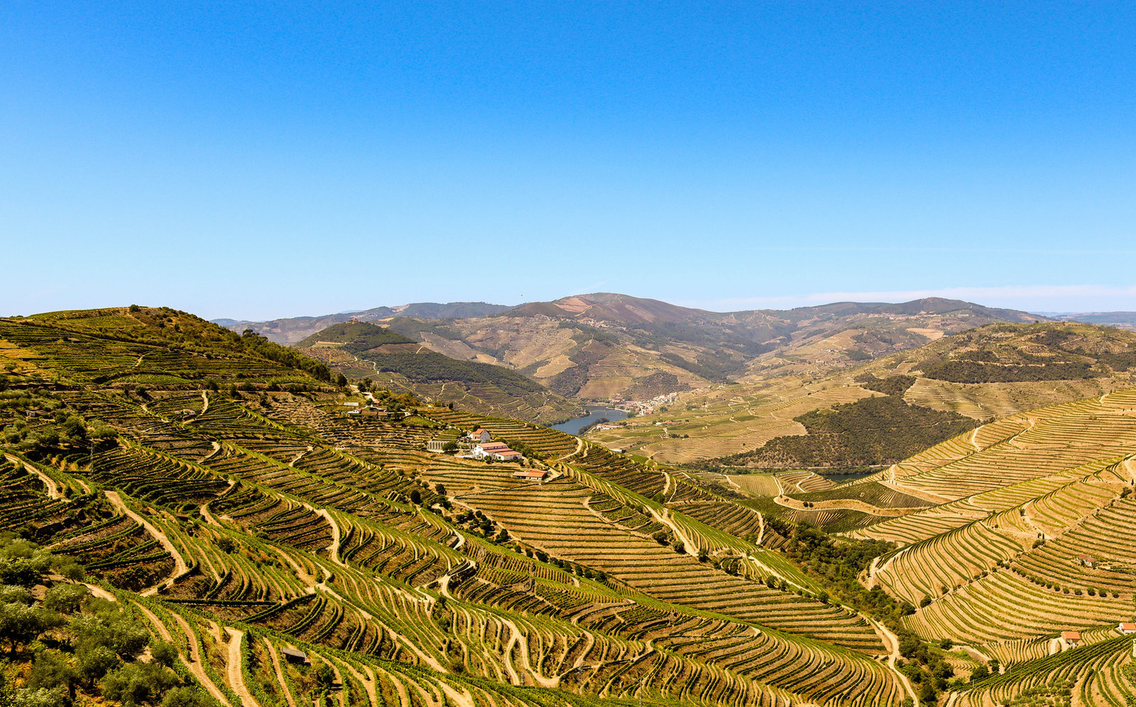 Authentic Douro valley day trip from Porto