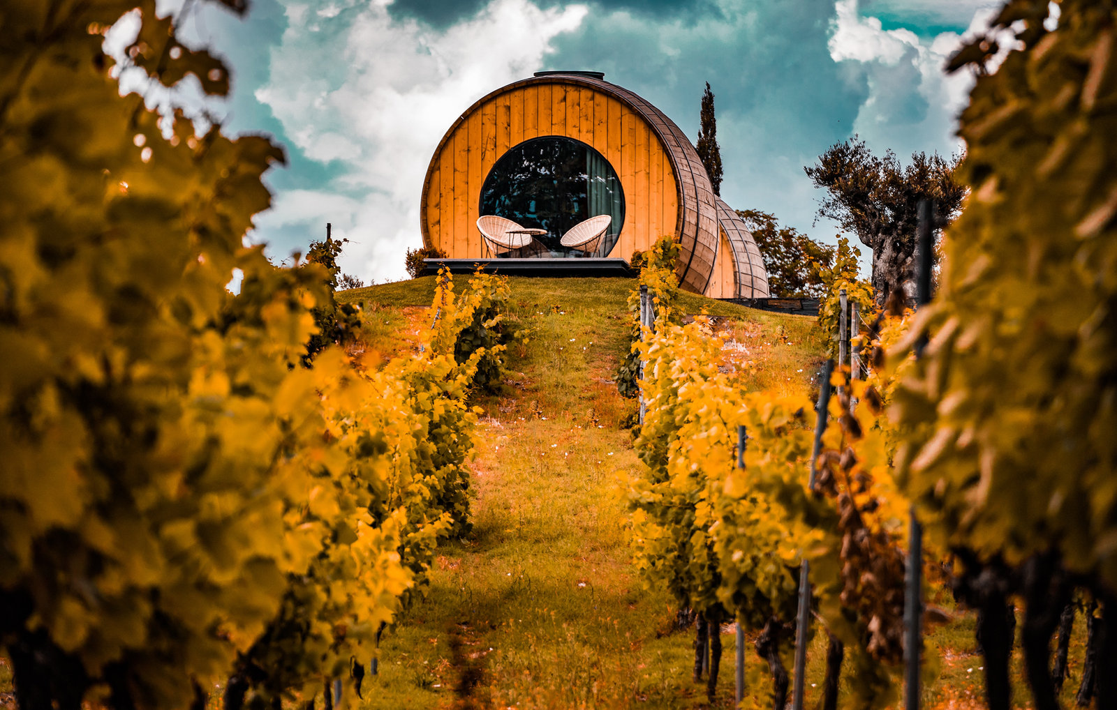 Bien choisir son vin de Porto - Voyage à Porto Blog