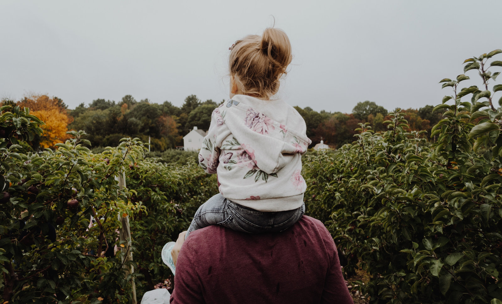 Top 10 des activités à faire en famille à Porto