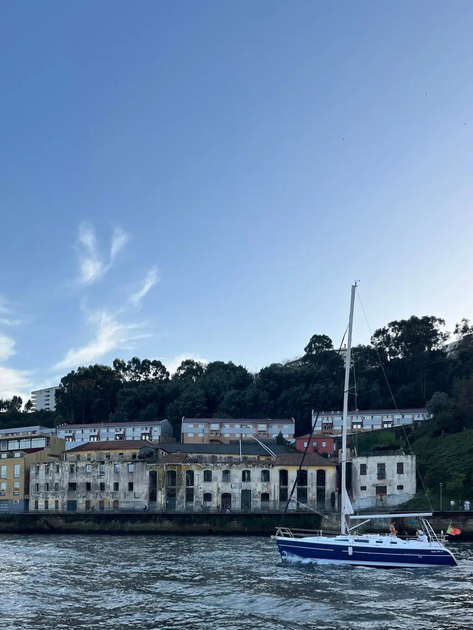 Sailing boat on the Douro in front of Porto's bridges